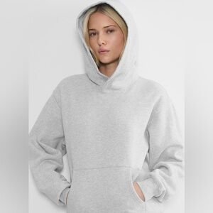 Aritzia Cozy fleece perfect hoodie